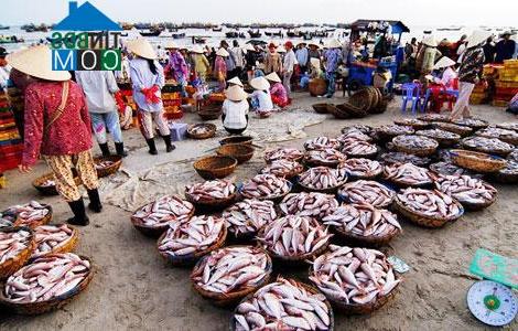 Hình ảnh Long Hải, Hồ Chí Minh