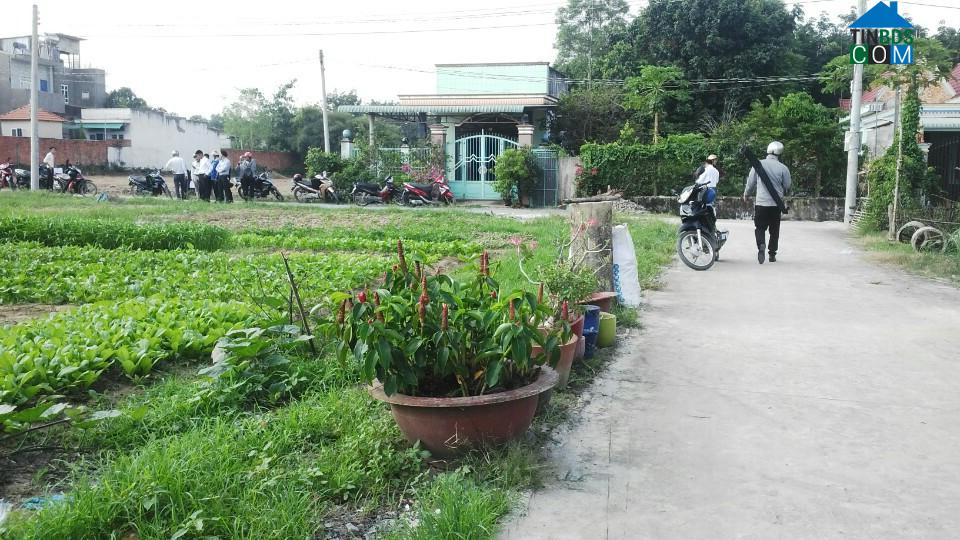 Hình ảnh Tân Khánh, Hồ Chí Minh