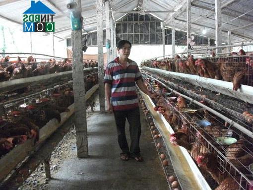 Hình ảnh Chánh Phú Hòa, Hồ Chí Minh