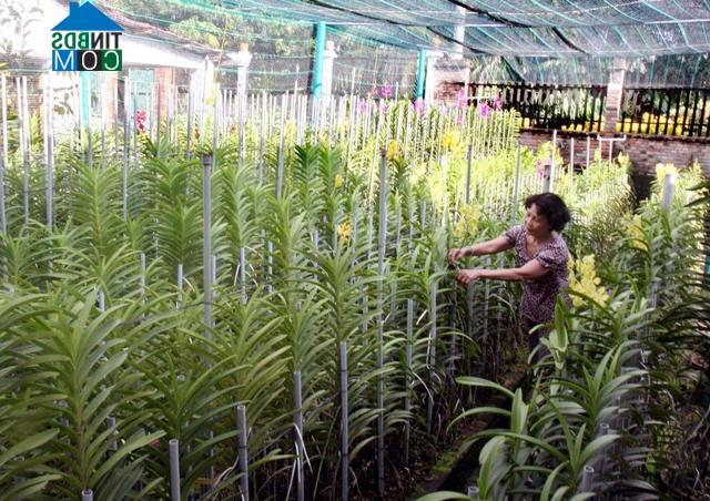 Hình ảnh Thuận An, Hồ Chí Minh