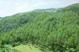 Hình ảnh Hà Nha, Đà Nẵng