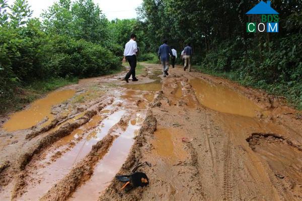 Hình ảnh Việt An, Đà Nẵng