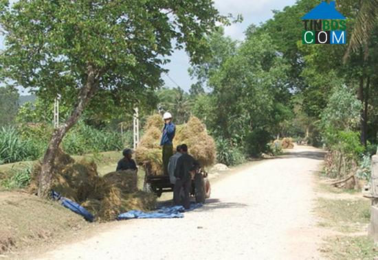 Hình ảnh Tam Mỹ, Đà Nẵng