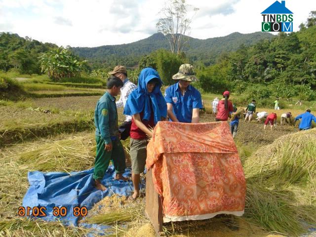 Hình ảnh Nam Giang, Đà Nẵng