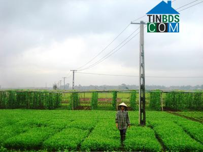 Hình ảnh Nam Phước, Đà Nẵng