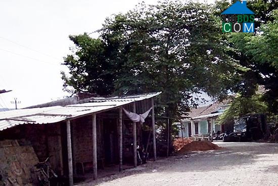 Hình ảnh Nông Sơn, Đà Nẵng