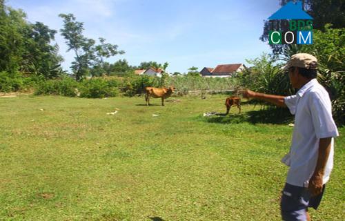 Hình ảnh Phú Thuận, Đà Nẵng