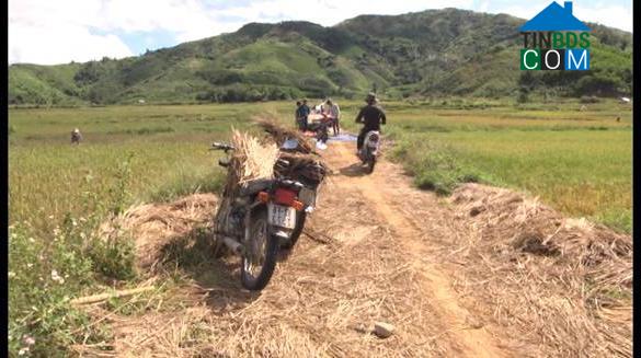 Hình ảnh Phước Năng, Đà Nẵng