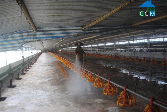 Hình ảnh Mao Điền, Hải Phòng