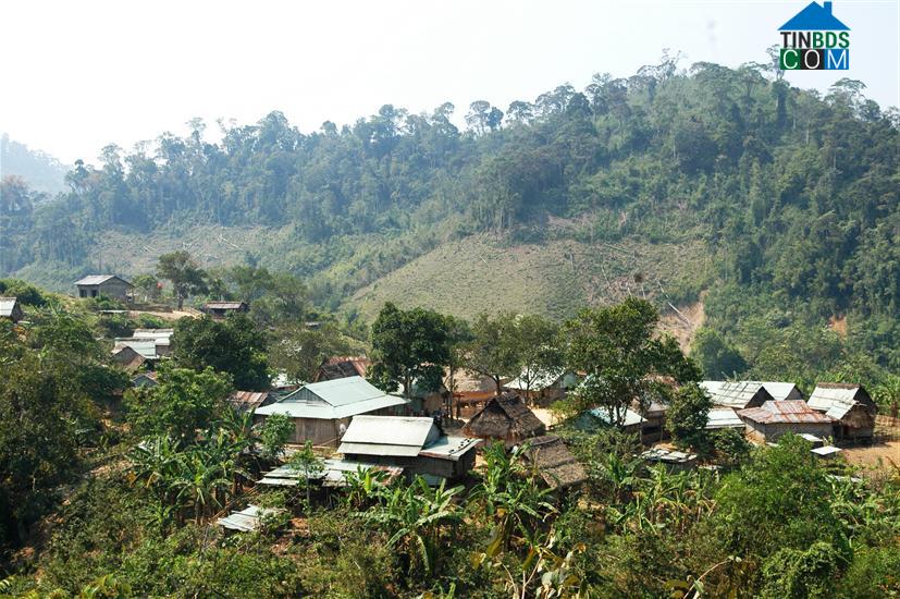 Hình ảnh Tây Giang, Đà Nẵng