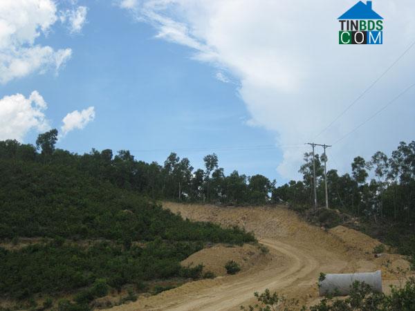 Hình ảnh Thạnh Bình, Đà Nẵng