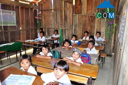 Hình ảnh Trà Đốc, Đà Nẵng