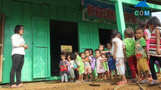 Hình ảnh Trà Leng, Đà Nẵng