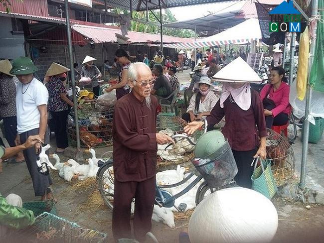 Hình ảnh Nguyên Giáp, Hải Phòng
