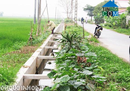 Hình ảnh Phú Thái, Hải Phòng