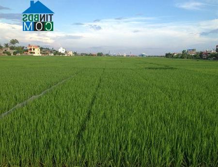 Hình ảnh Tiên Lãng, Hải Phòng