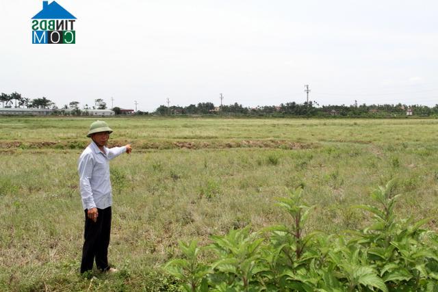 Hình ảnh Tiên Minh, Hải Phòng