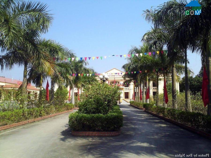 Hình ảnh Trần Liễu, Hải Phòng