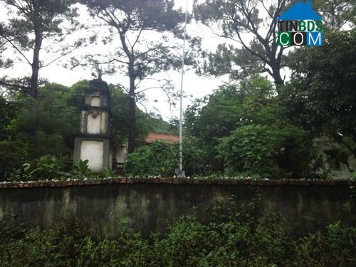 Hình ảnh Trần Nhân Tông, Hải Phòng