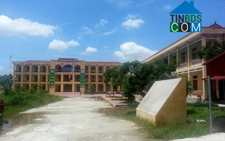 Hình ảnh Tuệ Tĩnh, Hải Phòng