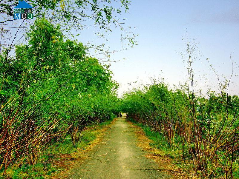 Hình ảnh Thạnh Mỹ Tây, An Giang