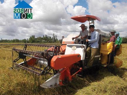 Hình ảnh Kiến Minh, Hải Phòng