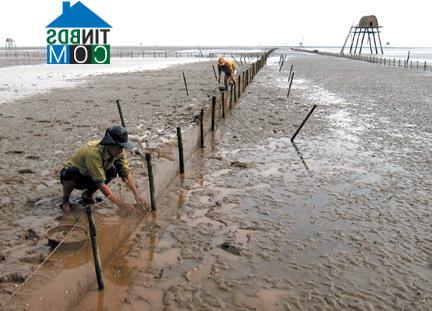 Hình ảnh Kiến Hải, Hải Phòng