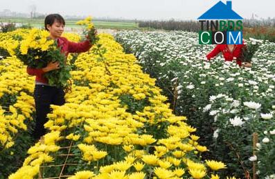 Hình ảnh An Thành, Hải Phòng