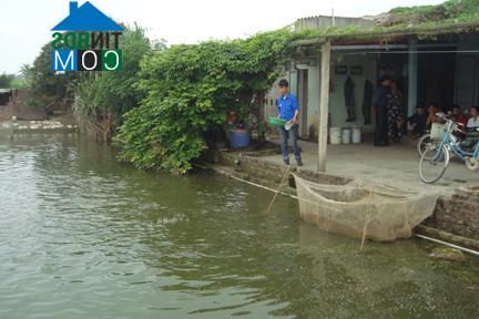 Hình ảnh Bắc An Phụ, Hải Phòng