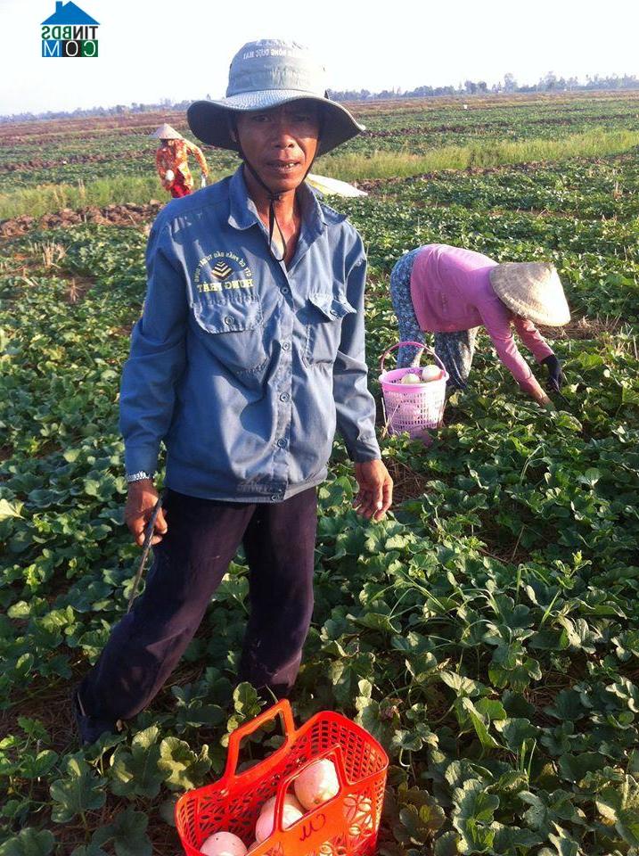 Hình ảnh Đông Hòa, An Giang