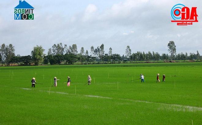 Hình ảnh Vĩnh Gia, An Giang