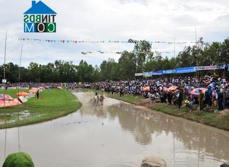 Hình ảnh An Cư, An Giang