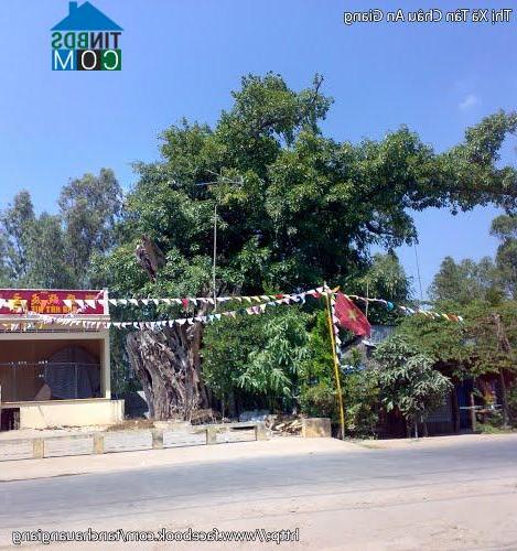 Hình ảnh Tân Châu, An Giang