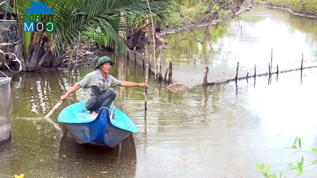 Hình ảnh Đông Thái, An Giang