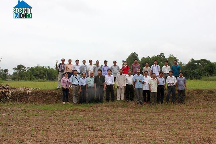Hình ảnh Long Kiến, An Giang