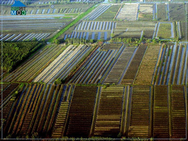 Hình ảnh Vĩnh Tuy, An Giang