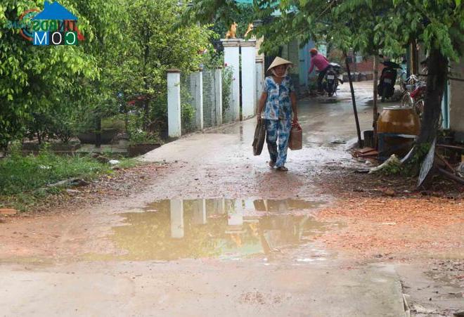 Hình ảnh Nhơn Mỹ, An Giang