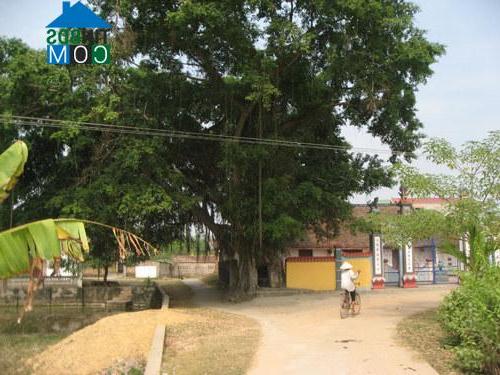 Hình ảnh Hiệp Hòa, Bắc Ninh