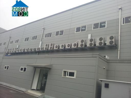 Hình ảnh Yên Phong, Bắc Ninh