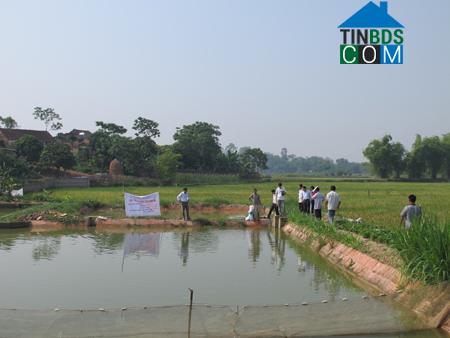 Hình ảnh Yên Thế, Bắc Ninh