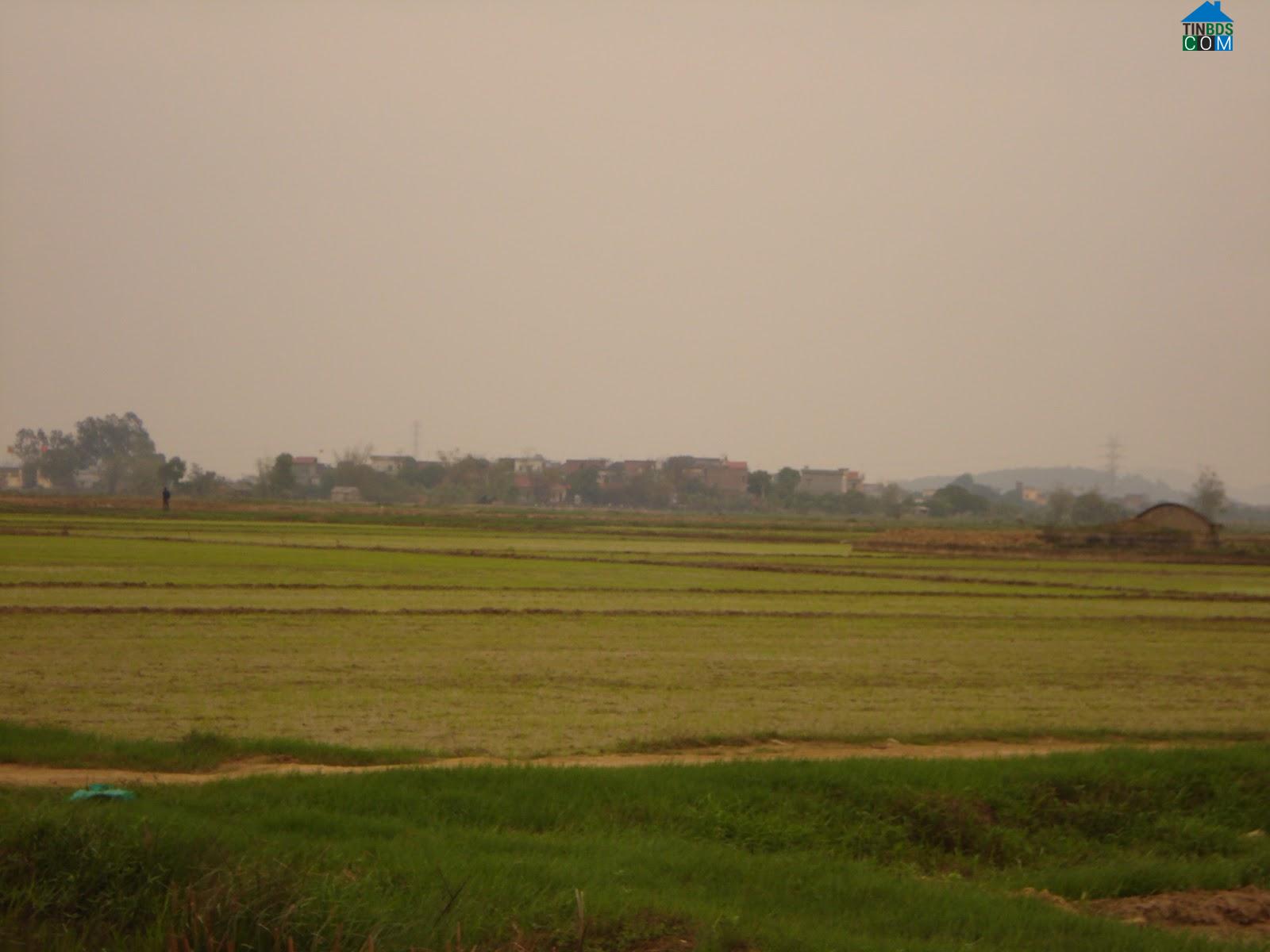 Hình ảnh Đồng Việt, Bắc Ninh