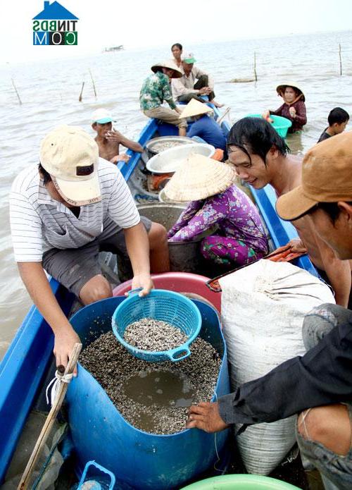 Hình ảnh Tân Thạnh, An Giang