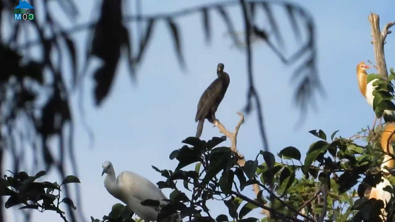 Hình ảnh Thạnh Lộc, An Giang