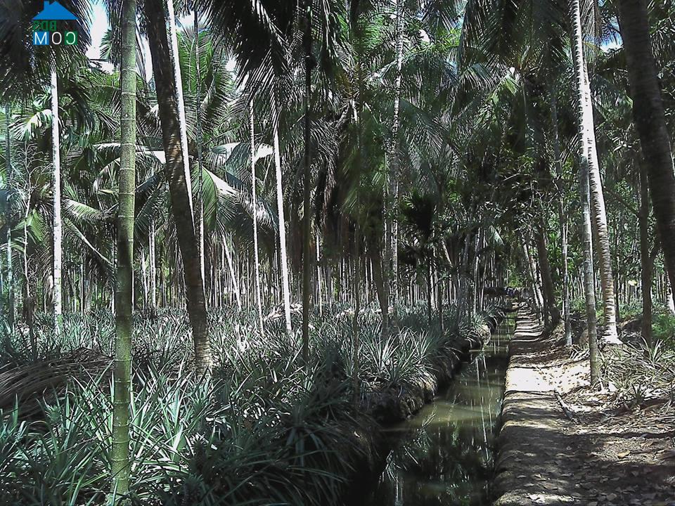 Hình ảnh Kiên Lương, An Giang