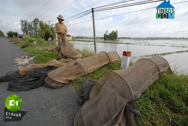 Hình ảnh Vĩnh Xương, An Giang