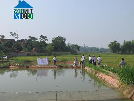 Hình ảnh Mỹ Thái, Bắc Ninh