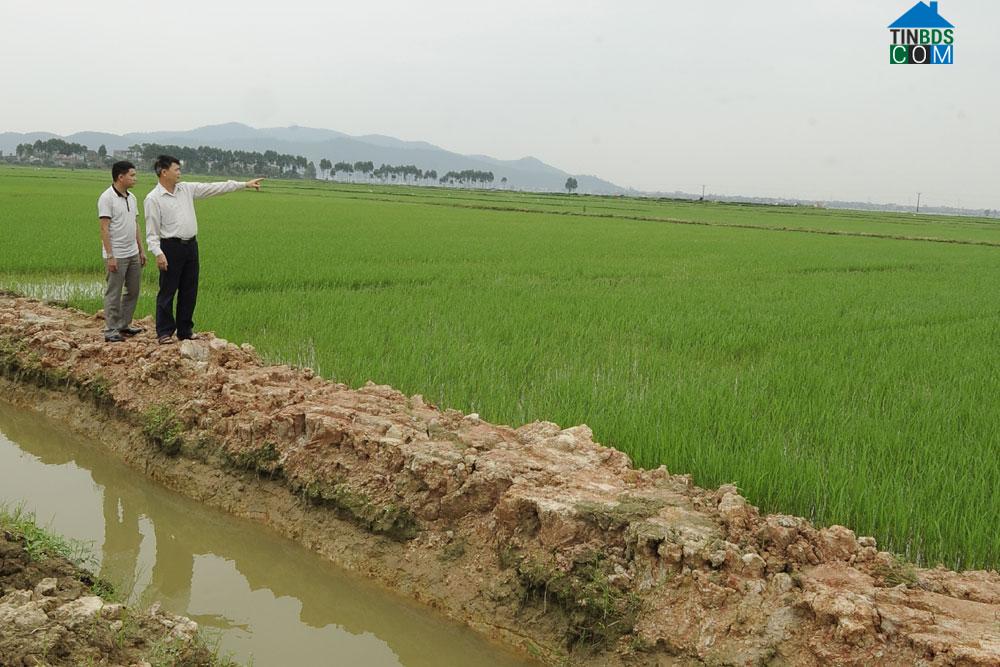 Hình ảnh Cảnh Thụy, Bắc Ninh