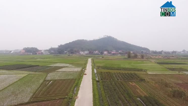 Hình ảnh Đại Sơn, Bắc Ninh