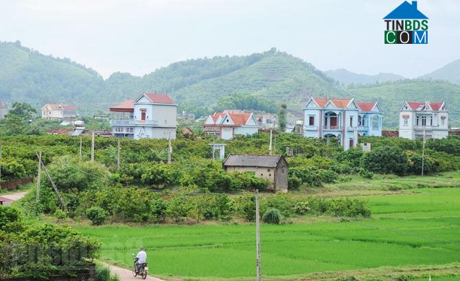 Hình ảnh Đông Phú, Bắc Ninh