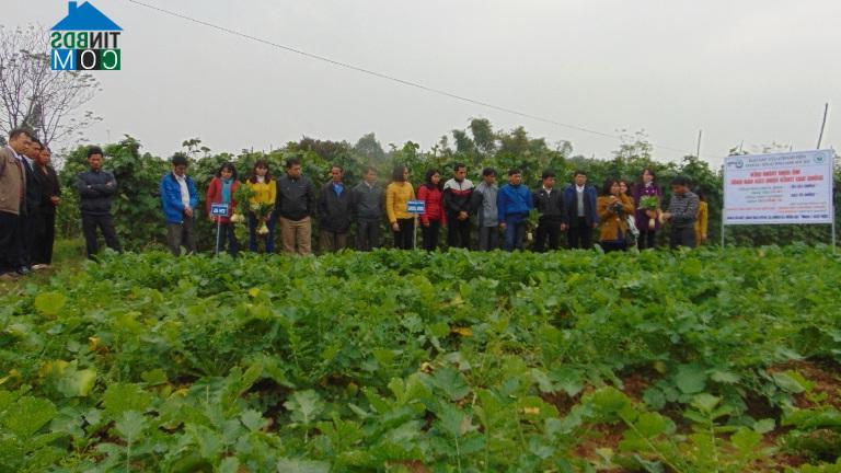 Hình ảnh Lạng Giang, Bắc Ninh
